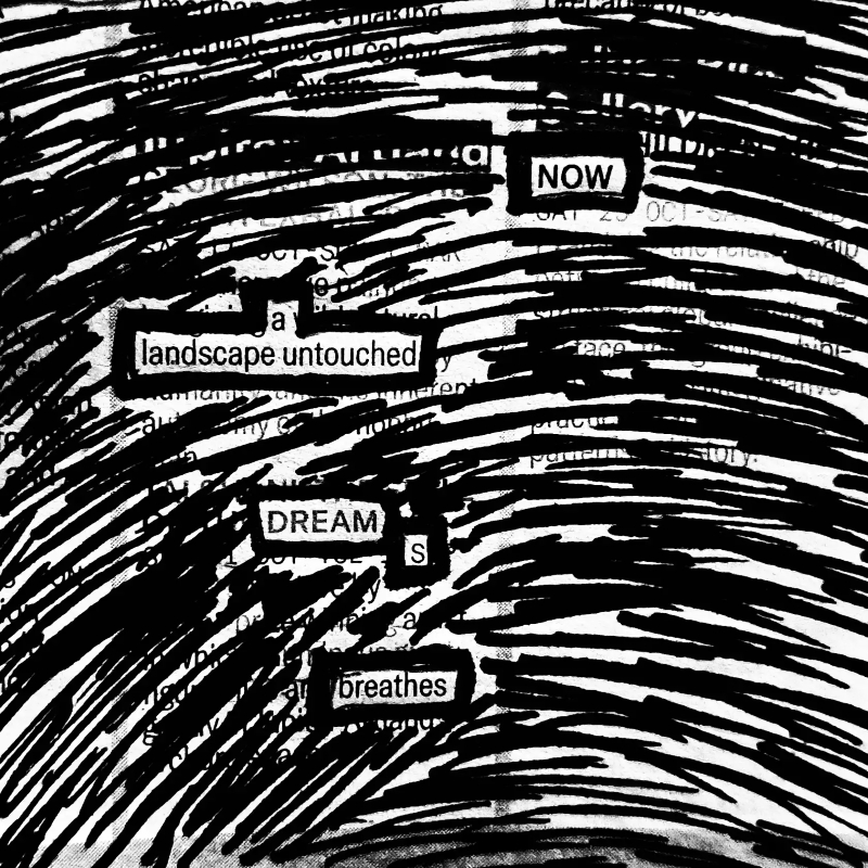 It's provocative erasure poem: Now a landscape untouched / dreams / breathes