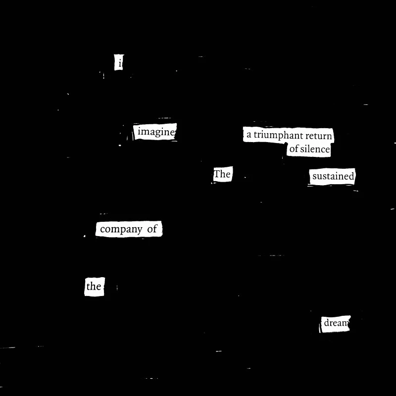 erasure poem: I imagine a triumphant return to silence / The sustain company / of the dream.